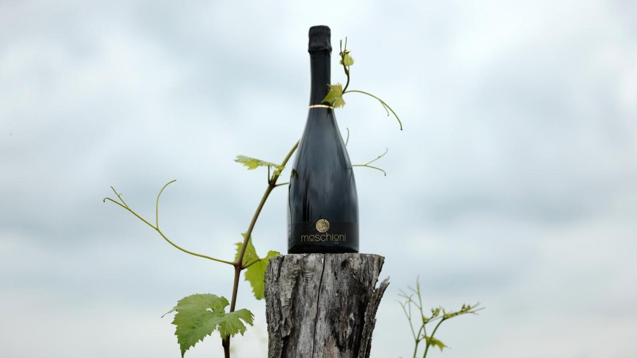 Azienda Agricola Moschioni Cividale del Friuli Zewnętrze zdjęcie